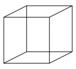 400px-Necker_cube.svg.jpg